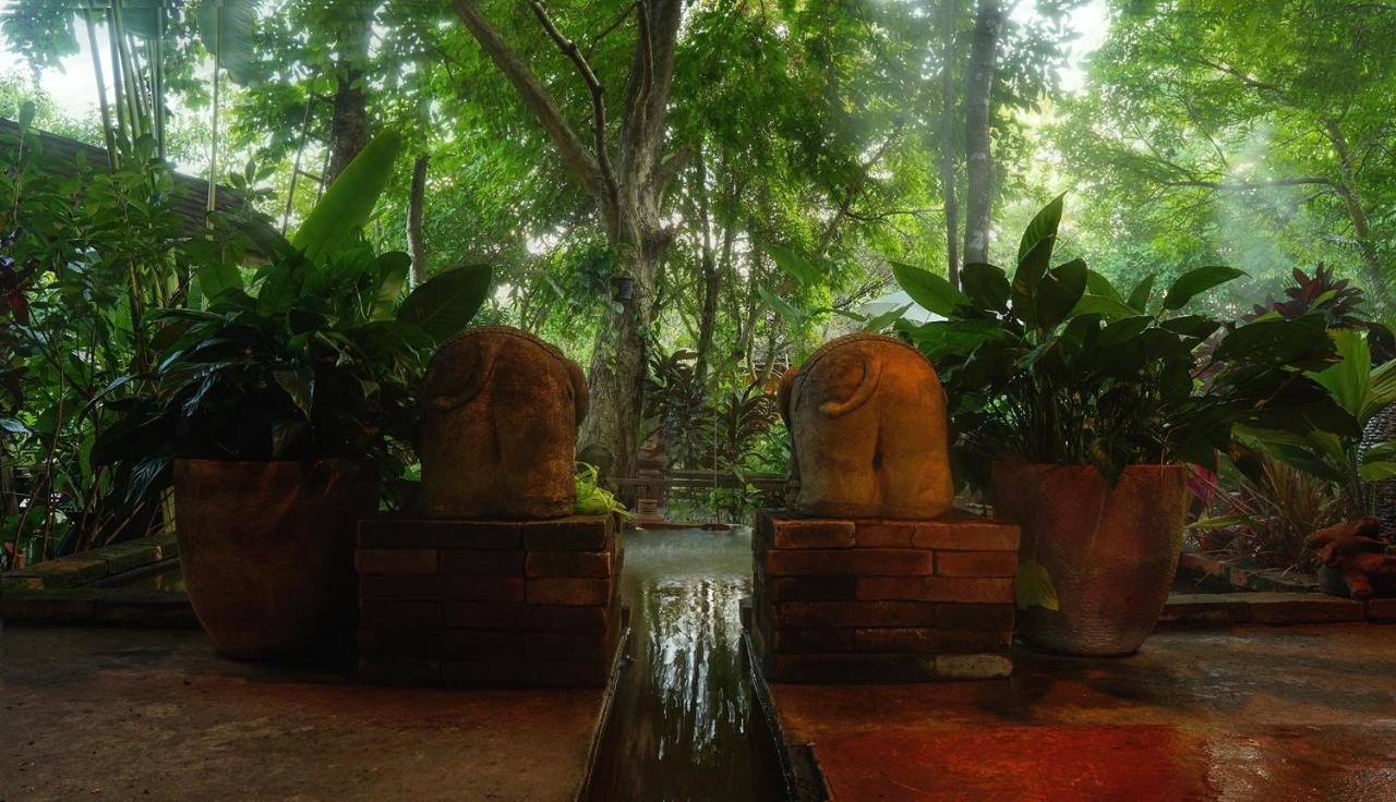 Tongluang Inthanon Homestay โต้งหลวงอินทนนท์โฮมสเตย์ Chom Thong Buitenkant foto